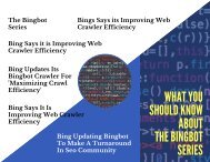 What You Should Know About The Bingbot Series