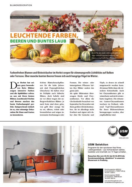 Wiehre Magazin (Ausgabe Unterwiehre, November 2018)