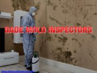 Mold Remediation Miami | Dada Mold Inspectors