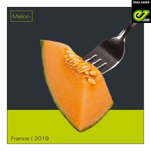 Melon 2019