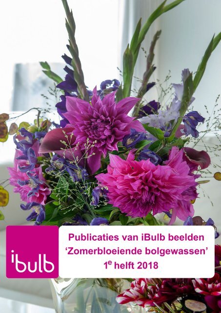 Publicaties van iBulb beelden