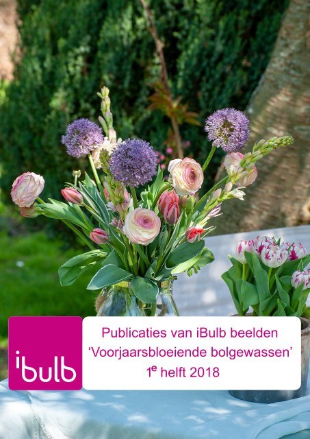 Publicaties van iBulb beelden 