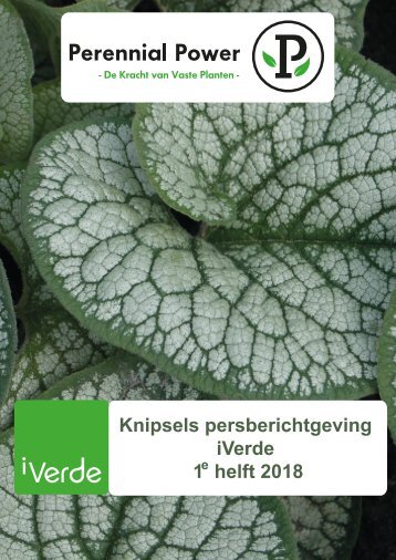 Knipsels persberichtgeving iVerde