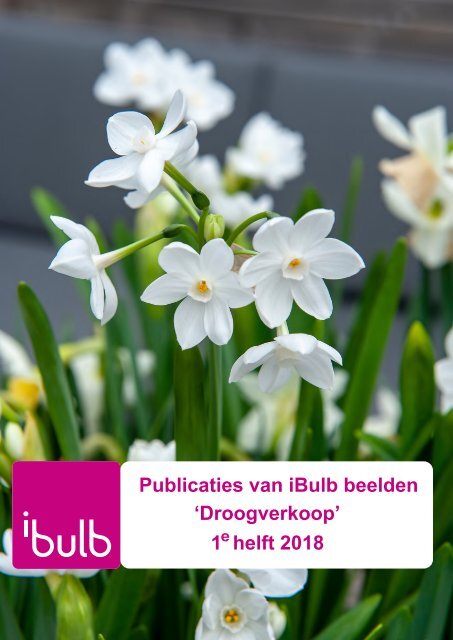 Publicaties van iBulb beelden Droogverkoop