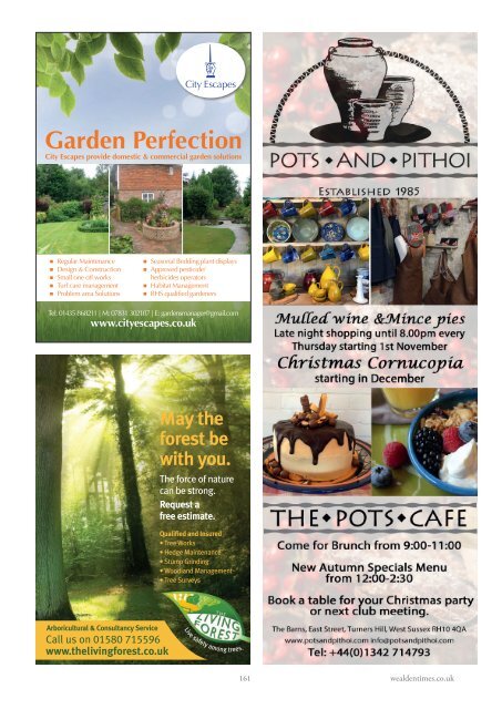 Wealden Times | WT201 | November 2018 | Gift supplement inside