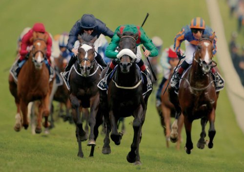 Horse Racing - Sport of Kings - Chinese Version