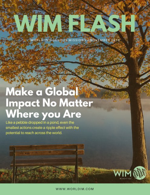 WIM Flash Magazine November 2018