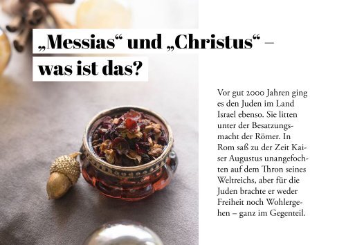 Der König in der Krippe - Wer ist Jesus, der Messias - alte Auflage