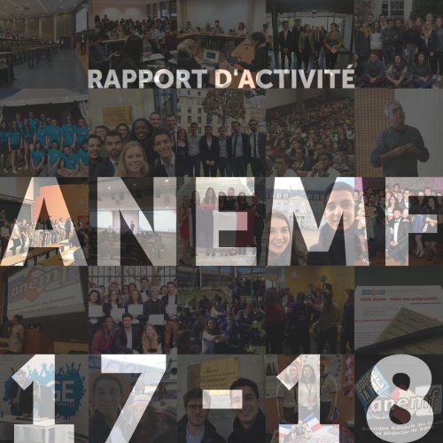 Rapport d'activité - ANEMF - 2017-2018