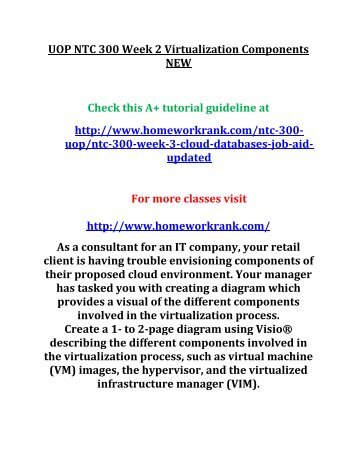 UOP NTC 300 Week 2 Virtualization Components NEW