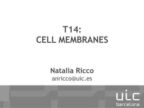 T14_CELLMEMBRANE