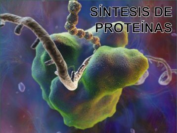 Síntesis de proteínas (2018.2)