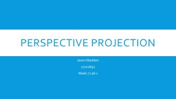 Jason Madden17221692 Perspective teaching resource