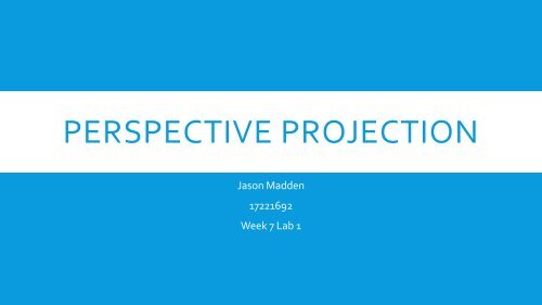 Jason Madden17221692 Perspective teaching resource