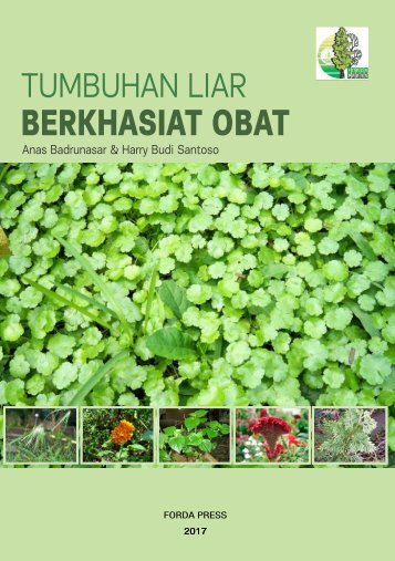 Digital-BUKU-GULMA OBAT