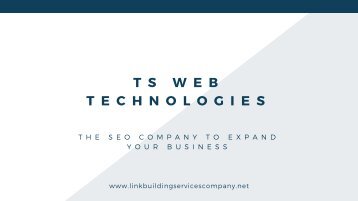 Contact TS Web Technologies- The SEO Company to Expand Your Business
