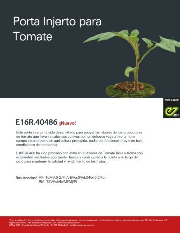 Porta Injerto para Tomate E16R.40486
