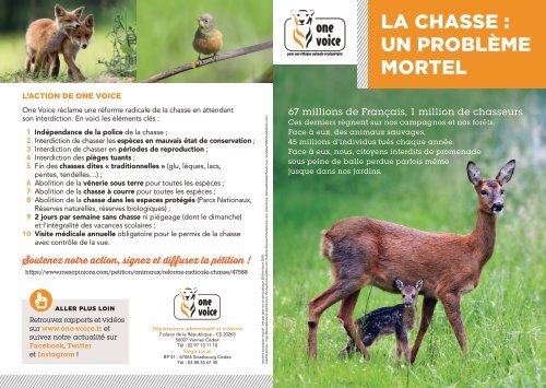 La chasse un problème mortel (téléchargement)