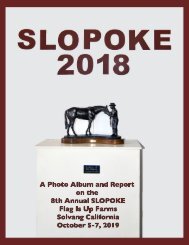 SLOPOKE 2018 ALBUM