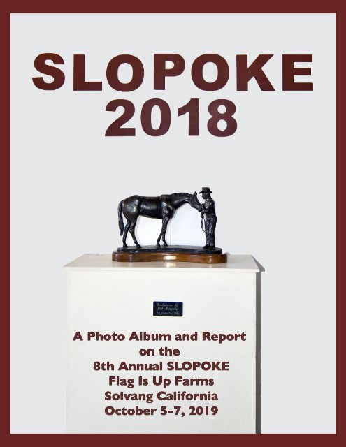 SLOPOKE 2018 ALBUM