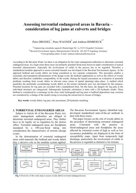 Assessing torrential endangered areas in Bavaria – consideration of log jams at culverts and bridges