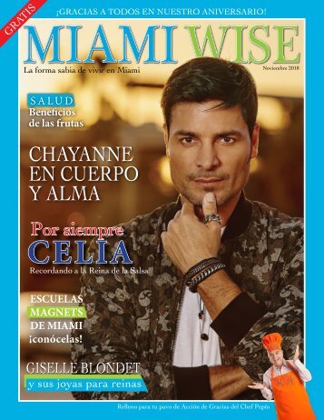 MIAMI WISE NOVIEMBRE 2018