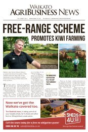 Waikato AgriBusiness News October 2018