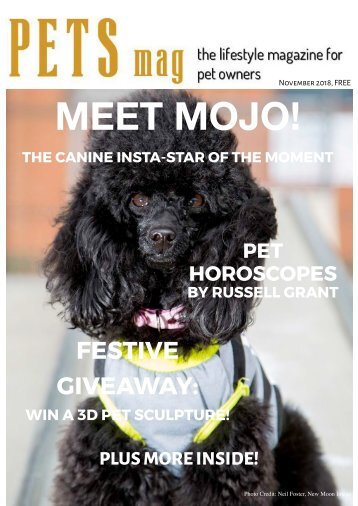 Pets Magazine November 2018