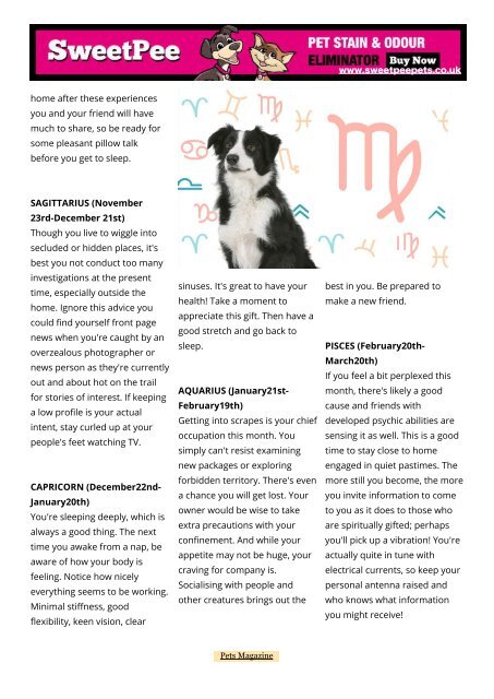 Pets Magazine November 2018