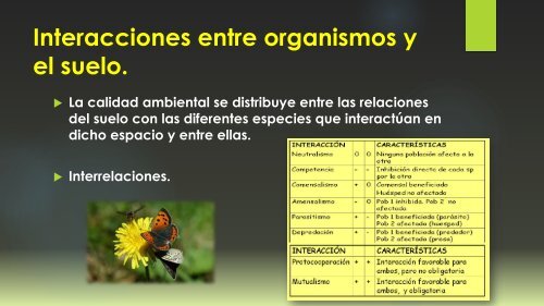 Organismos del suelo y calidad ambiental