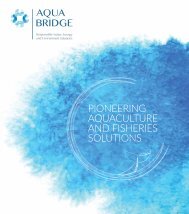 Auqa_bridge_Brochure-compressed