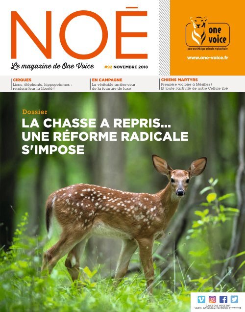 Noé 92