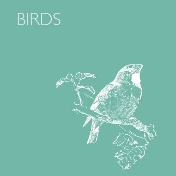 FH Animals - Birds