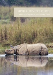 Diphlu River Lodge