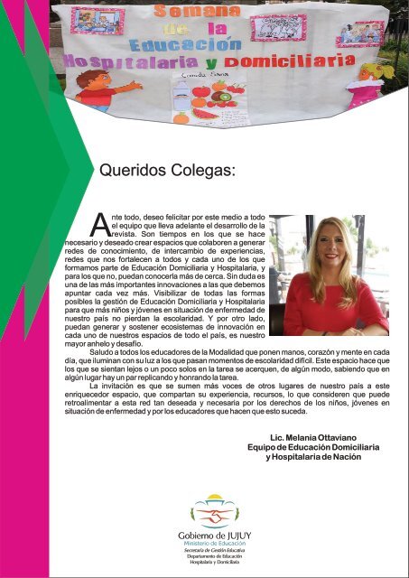 Revista N°2 MHyD