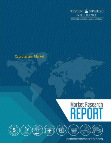 Caprolactam Market Demand & Supply Dynamics, Industry Processes & Cost Structures Forecast to 2023