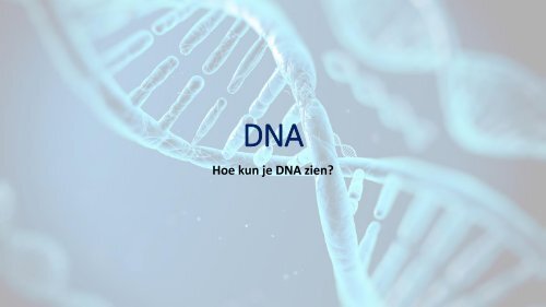 PP DNA