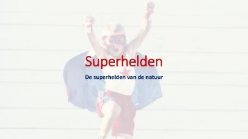 PP superhelden