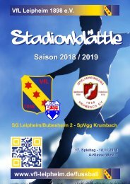 web-Stadionblaettle_17_Spieltag_SpVgg_Krumbach