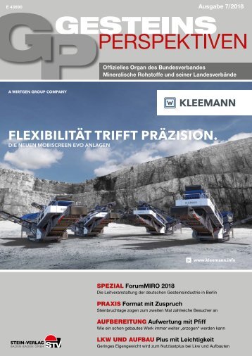 GesteinsPerspektiven 07/18