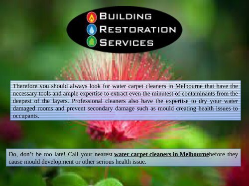 water carpet cleaners in Melbourne