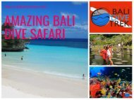 Bali Dive Safari