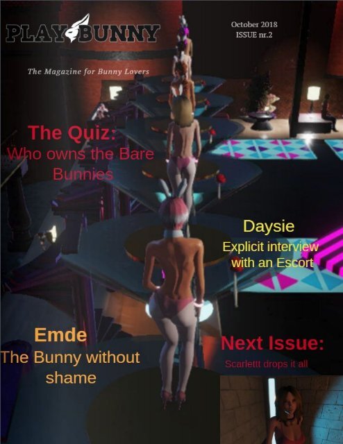 PlayBunny issue 2