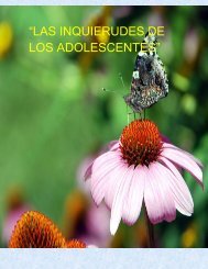 LAS INQUIERUDES DE LOS ADOLESCENTES