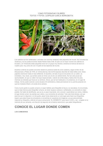 COMO FOTOGRAFIAR COLIBRÍES