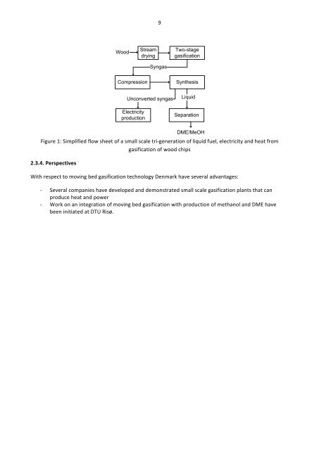 Preliminary status note: Thermal biomass conversion technologies ...