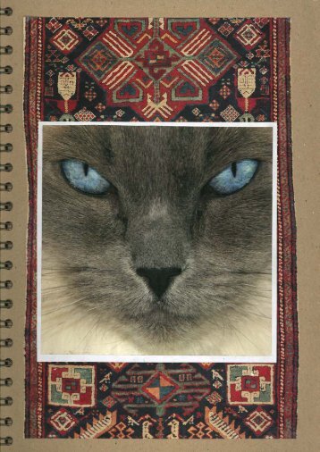 The 3 Principles Scrapbook for Cats