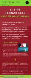 11 Tips Memulai Bisnis Ternak Lele Yang Menguntungkan