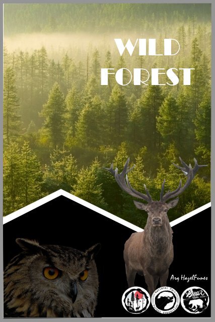 Flyer Forest (20-10-18)