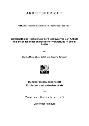 Wirtschaftliche Realisierung der Flashpyrolyse von Altholz mit ... - vTI